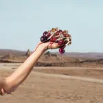 Q Парфюмированная вода 100мл Dolce&Gabbana - фото 5