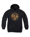 Толстовка с капюшоном и эмблемой Конгресса магической молодежи Fantastic Beasts, черный - фото