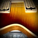 Gibson LP Standard '50s Double Trouble - фото 10