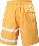 Helly-Hansen Мужские шорты Koster Helly Hansen, 285 Saffron - фото 2