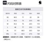 Carhartt WIP Худи Chase мужской серый - фото 2