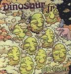 Виниловая пластинка Dinosaur Jr - I Bet On Sky - фото