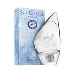 Туалетная вода Nikos Sculpture pour Homme, 100 мл - фото