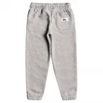 Брюки Quiksilver EQKFB03109 sweat, серый - фото 2