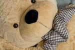 Gustaw Teddy Bear, Classico Teddy Bear, бежевый, 300 см Miś Gustaw - фото 2