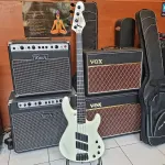 Sandberg Panther 2024 - кремовый глянцевый бас-гитара - фото 2