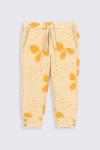 Спортивные брюки для новорожденных Coccodrillo, бежевый - фото