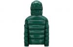 Пуховик Лист Зеленый Детский Moncler - фото