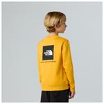 Teen'S box nse regular crew - свитер The North Face, серый - фото 4