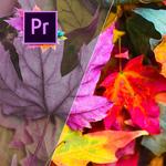 Док-станция iVANKY FusionDock Max 1 with Thunderbolt 5 Cable (3.3') VCD10B - фото 5