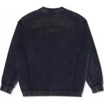 Унисекс свитшот UNDEFEATED, черный - фото