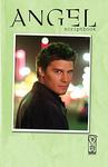 Angel Scriptbook Collection: Volume 2 (IDW Publishing) - фото