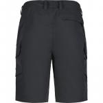 Шорты Брасвелл Icepeak, серый - фото 2