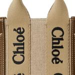 Вудди ручная сумка Chloé, basic set (bag+dust bag) - фото 5