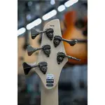 Dingwall ДИНГУОЛЛ NG3 5 Подпись Нолли Голубика - фото 6