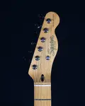 Squier Classic Vibe '50s Telecaster, гриф из клена, белый блонд - фото 2