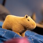 Плюшевая игрушка капибара высотой 18см/26см Pissie - фото 3
