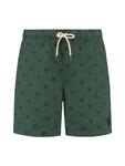 Пляжные шорты Shiwi Mike, Dark green - фото