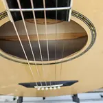 Washburn EA20-A-U - натуральный - фото 4