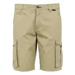 Шорты Regatta Shorebay II, бежевый - фото 3