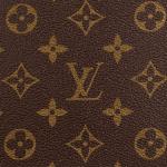 Луи Виттон - фото 7