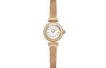 CITIZEN Часы Women's Ecology Drive Collection Watch - фото