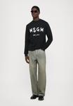 Толстовка MSGM FELPA, Black - фото 2