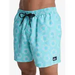 Плавки Quiksilver Everyday Printed Volley 15'', синий - фото 5