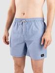 Пляжные шорты Rip Curl Easy Living Volley Boardshorts, ice blue - фото