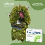 LACTOFLORA Иммунопротектор для взрослых 30 капсул Stada - фото 3