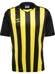 Рубашка Hummel Trikot S/S Hmlcore Xk Striped Jersey S/S, черный - фото