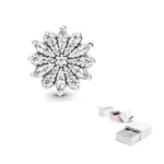 Подвески для женщин Pandora - фото