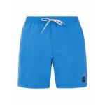 PROTEST Плавки-шорты Протест Пртбаки - фото