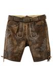 Шорты Leather trousers Maddox, коричневый - фото