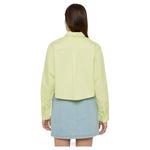 Рубашка с длинным рукавом Dickies Culpeper, желтый - фото 2