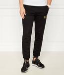 Спортивные брюки EA7 Regular Fit, черный - фото 3