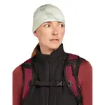 Шапка Icebreaker Merino 200 Oasis Cloud Dye, белый - фото 2