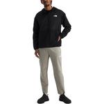 Куртка мужская черная The North Face, черный - фото 2