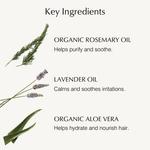 Уход за волосами Лаванда 236мл, John Masters Organics - фото 3