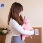 Creative Cute Piggy Plush Toy Doll Dolls Plush Doll 35cm/45cm Height Howard - фото 3