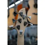 DINGWALL NG3 5 Nolly подпись Pegasus Red Limited - фото 6