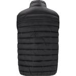 Куртка arubi m light puffer vest Whistler, черный - фото 2