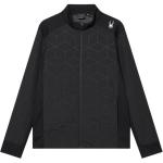 Стеганая куртка мужская Spyder, черный - фото 2