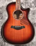 Taylor-guitars Builder's Edition 814ce - фото