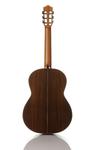Акустическая гитара Cordoba C10 SP/IN - Solid Spruce Top, Solid Indian Rosewood back/sides, Classical Guitar - фото 2
