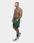 Флисовые шорты Icon X SAINT MORTA, Forest green - фото 3