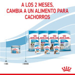 Pack 12 Стартовый мусс Royal Canin 195 ГР Royal Canin - фото 3