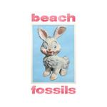 Диск CD Bunny - Beach Fossils - фото