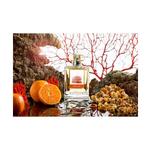 Кораллиум Парфюмированная вода 100 мл Carthusia - фото 3