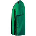 Джерси PUMA Team Liga, изумрудный - фото 4